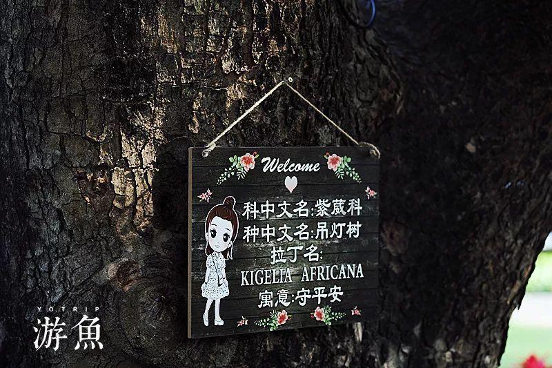 老山羊救援