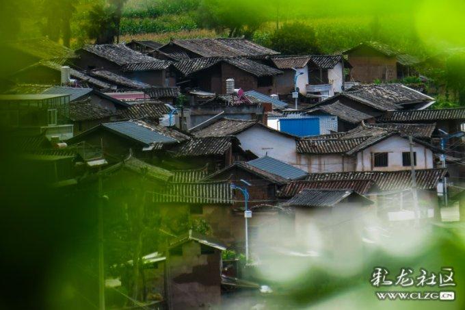 专注盛劲强医生:小脑萎缩初期注意什么事项?知识星球,深度解读盛劲强医生:小脑萎缩初期注意什么事项?的最佳平台